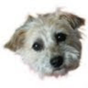 Meet your Posher, Marie